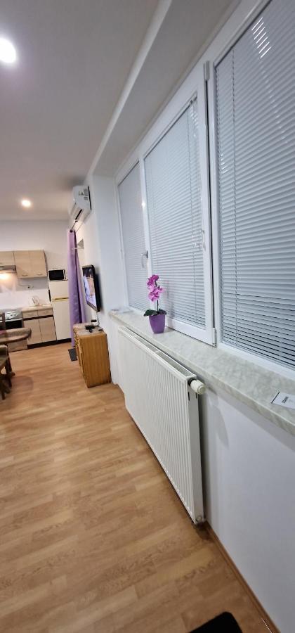 Apartment Murko P-4